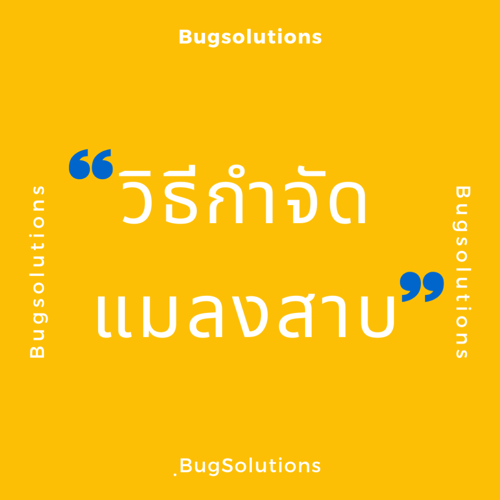 My Image 33