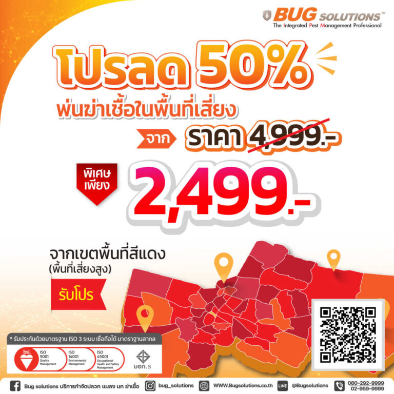 My Image 24