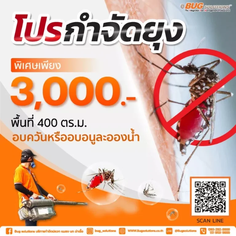 โปรกำจัดยุง