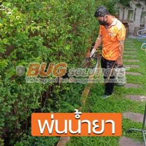 4 วิธีกำจัดปลวกถาวร กำจัดปลวก