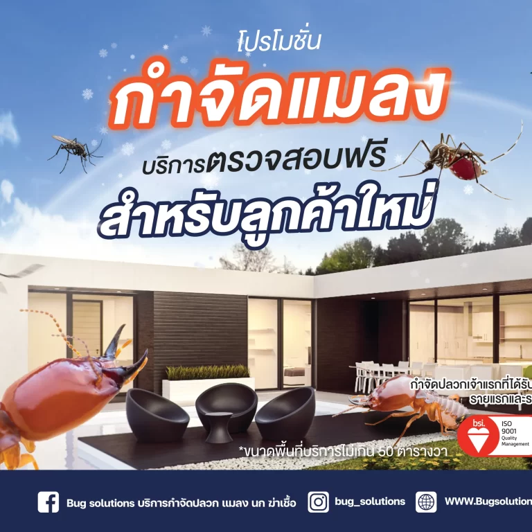 โปรโมชั่น กำจัดปลวก & แมลง สำหรับลูกค้าใหม่