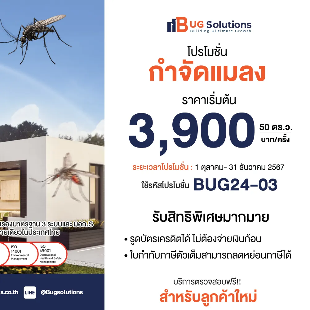 โปรโมชั่น กำจัดปลวก & แมลง สำหรับลูกค้าใหม่